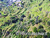 Il belvedere di Serrara Fontana 21