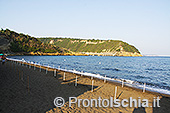 Procida, un'isola da scoprire 8