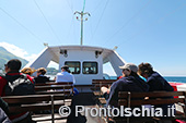 Il giro dell'isola d'Ischia via mare 10