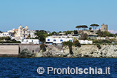 Il giro dell'isola d'Ischia via mare 42