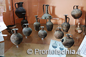 Visita guidata al Museo di Villa Arbusto 38