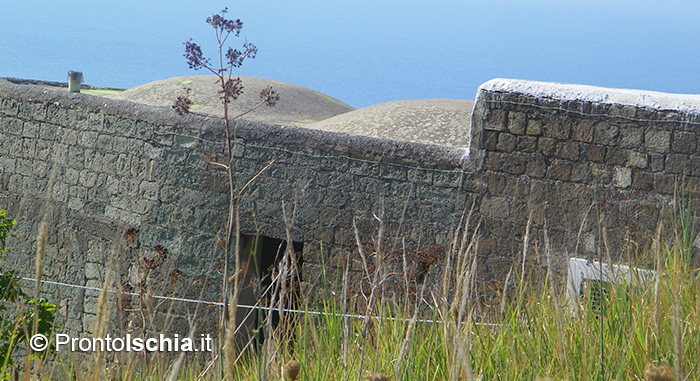 Qualità della vita e prodotti a chilometro zero dell'isola d'Ischia.