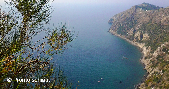 Alla scoperta degli itinerari naturalistici di Barano d'Ischia.