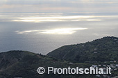 Escursioni a Ischia: dal Bosco della Maddalena a Sant'Angelo 57