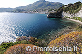 Spiaggia delle Monache 1