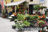 Gli Hotel vicino Ischia Ponte 8