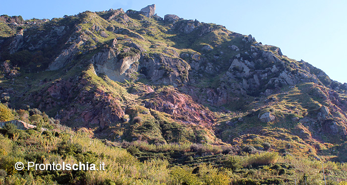 Il campo fumarolico più esteso dell'isola d'Ischia.