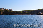 Ventotene, alla scoperta di un'isola 49