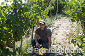 La vendemmia della famiglia Trani a San Pancrazio 16